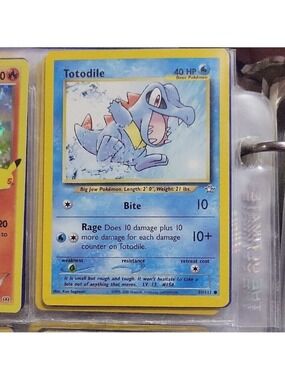 Pokémon Card Totodile